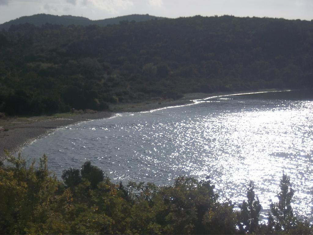 Guesthouse Budima Banići Dış mekan fotoğraf