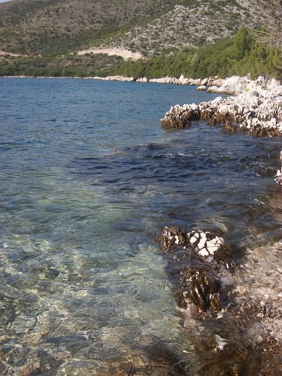 Guesthouse Budima Banići Dış mekan fotoğraf