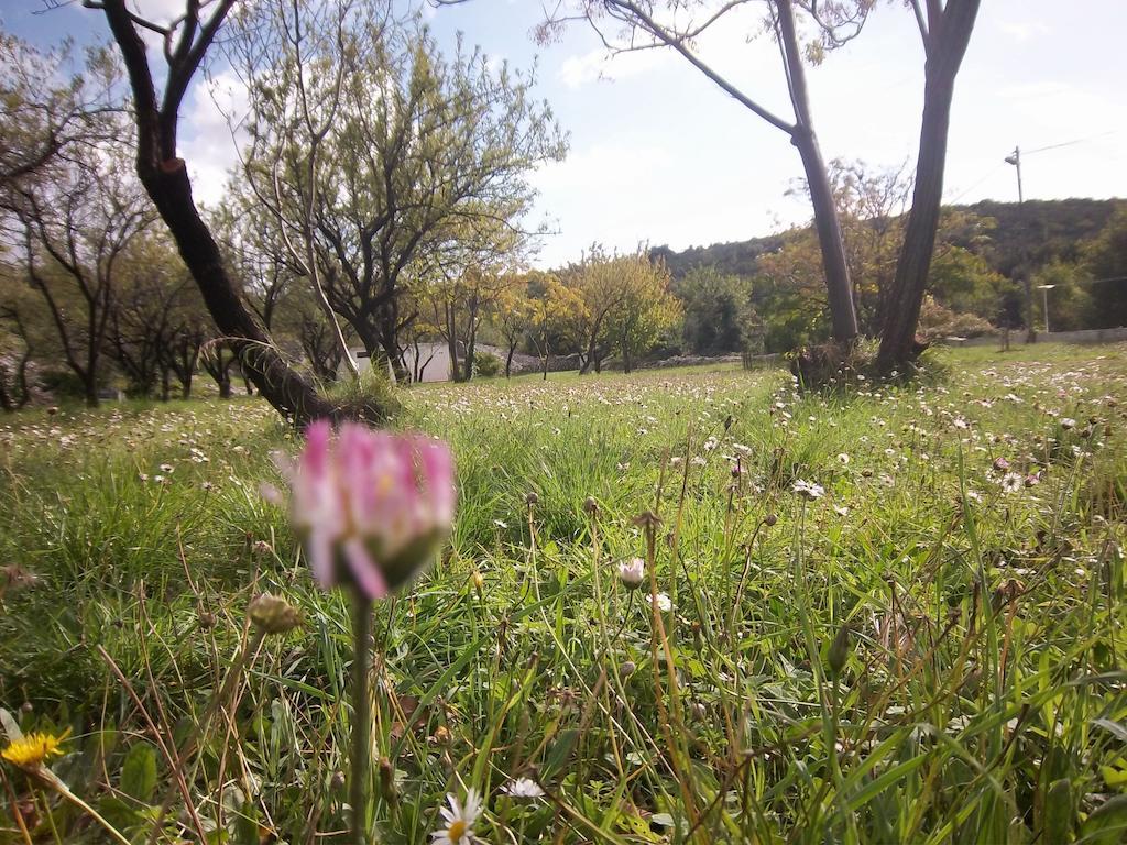 Guesthouse Budima Banići Dış mekan fotoğraf