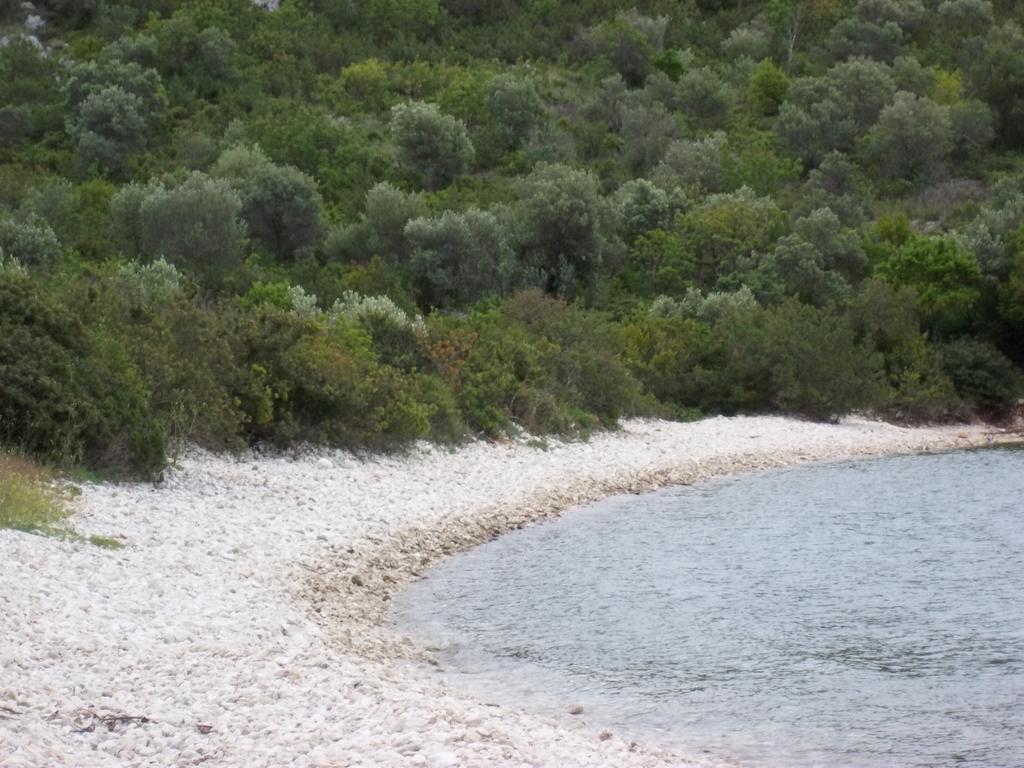 Guesthouse Budima Banići Dış mekan fotoğraf