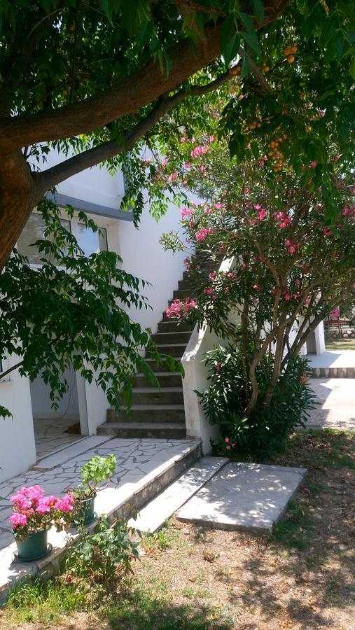 Guesthouse Budima Banići Dış mekan fotoğraf